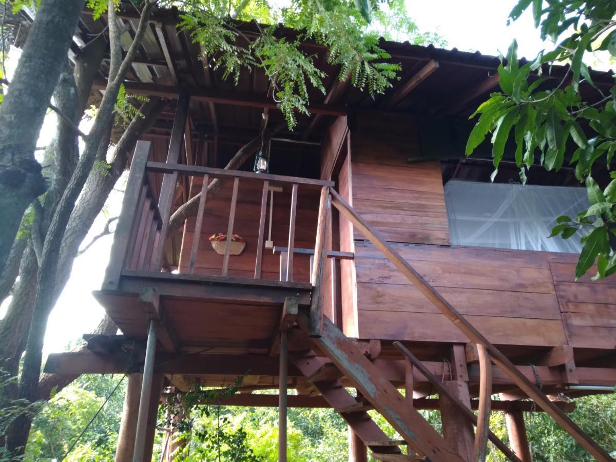 Vila Dambulla Tree House Exteriér fotografie
