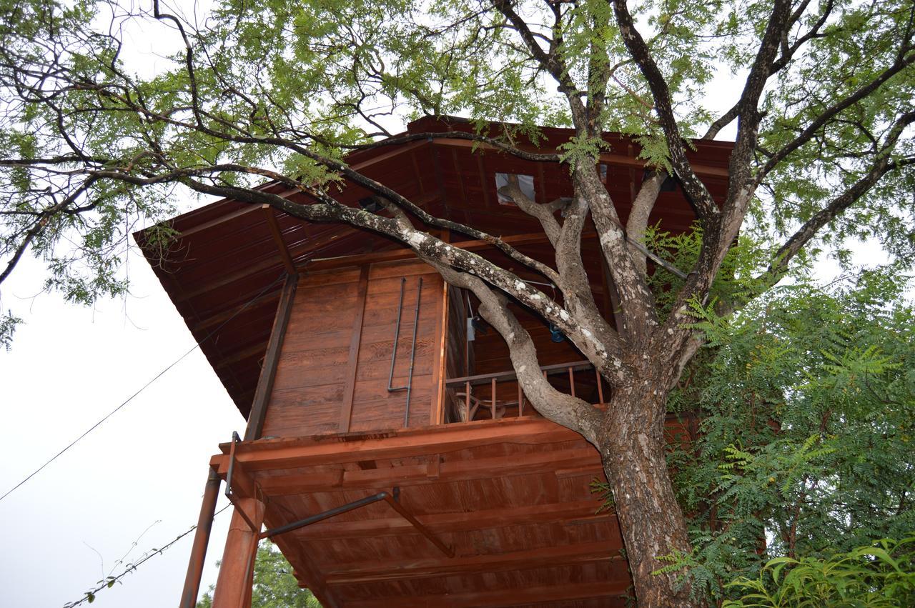 Vila Dambulla Tree House Exteriér fotografie