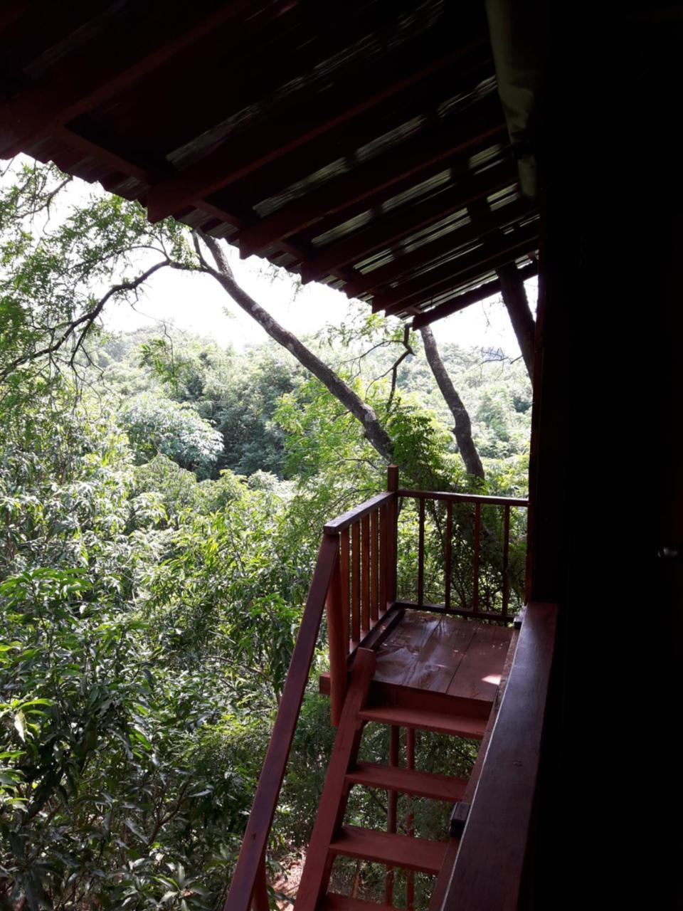 Vila Dambulla Tree House Exteriér fotografie
