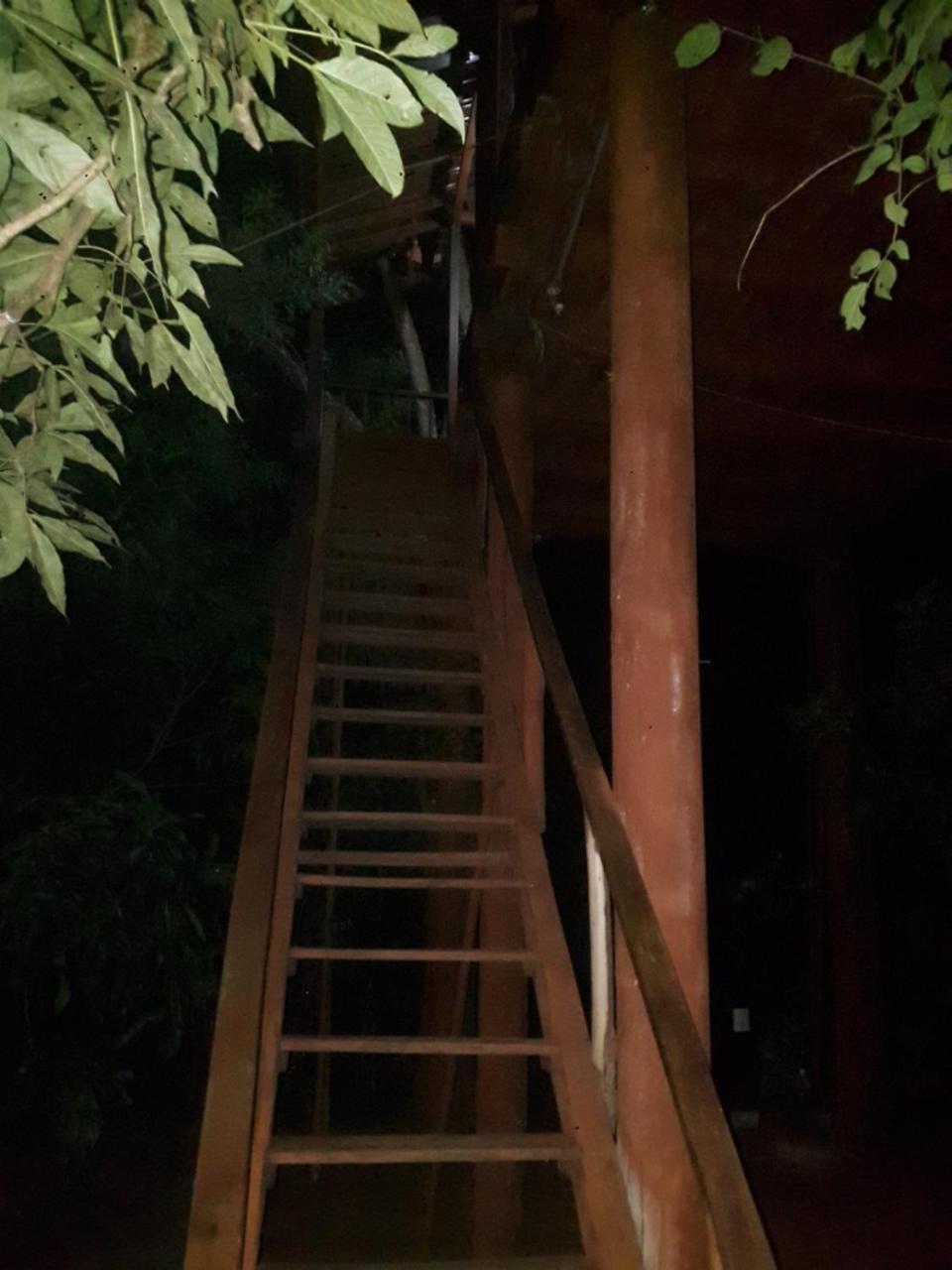 Vila Dambulla Tree House Exteriér fotografie